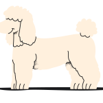 DrawKit Vector Illustration Animal & Pets (13)